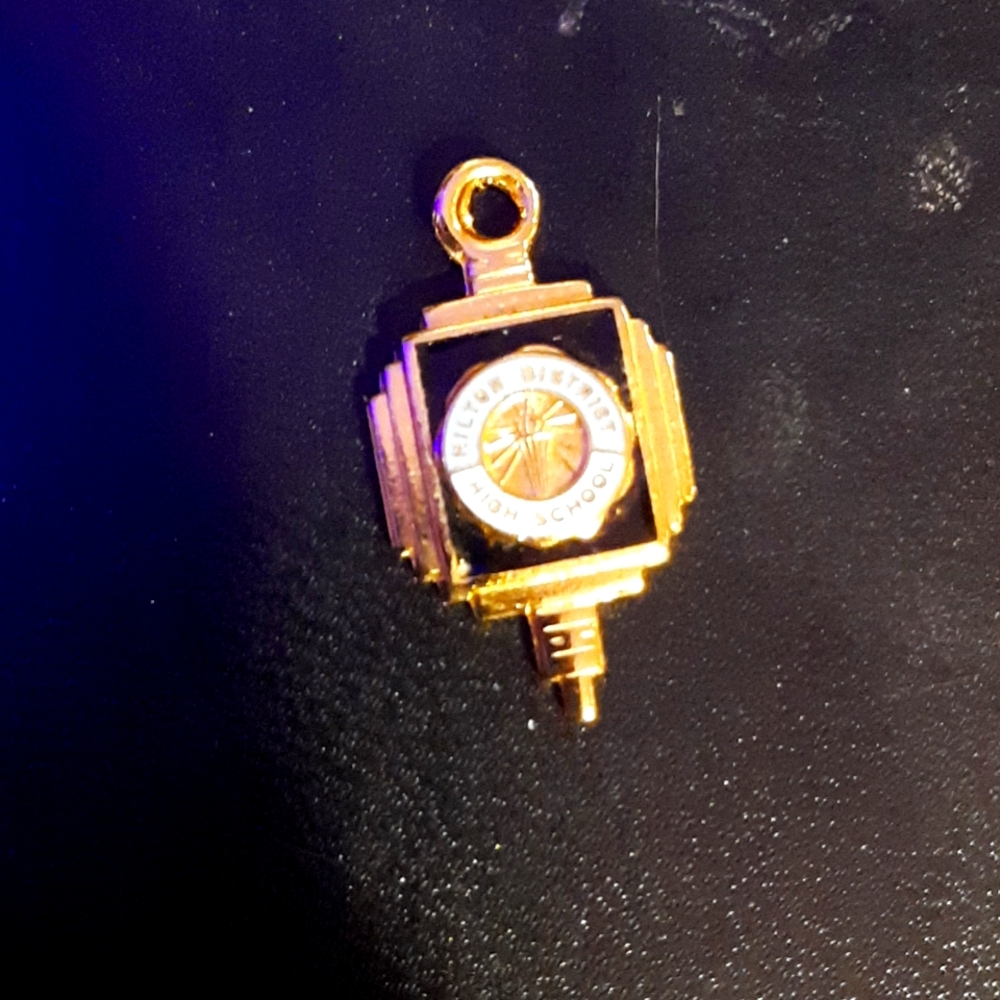 #2 - Vintage Milton District High School charm